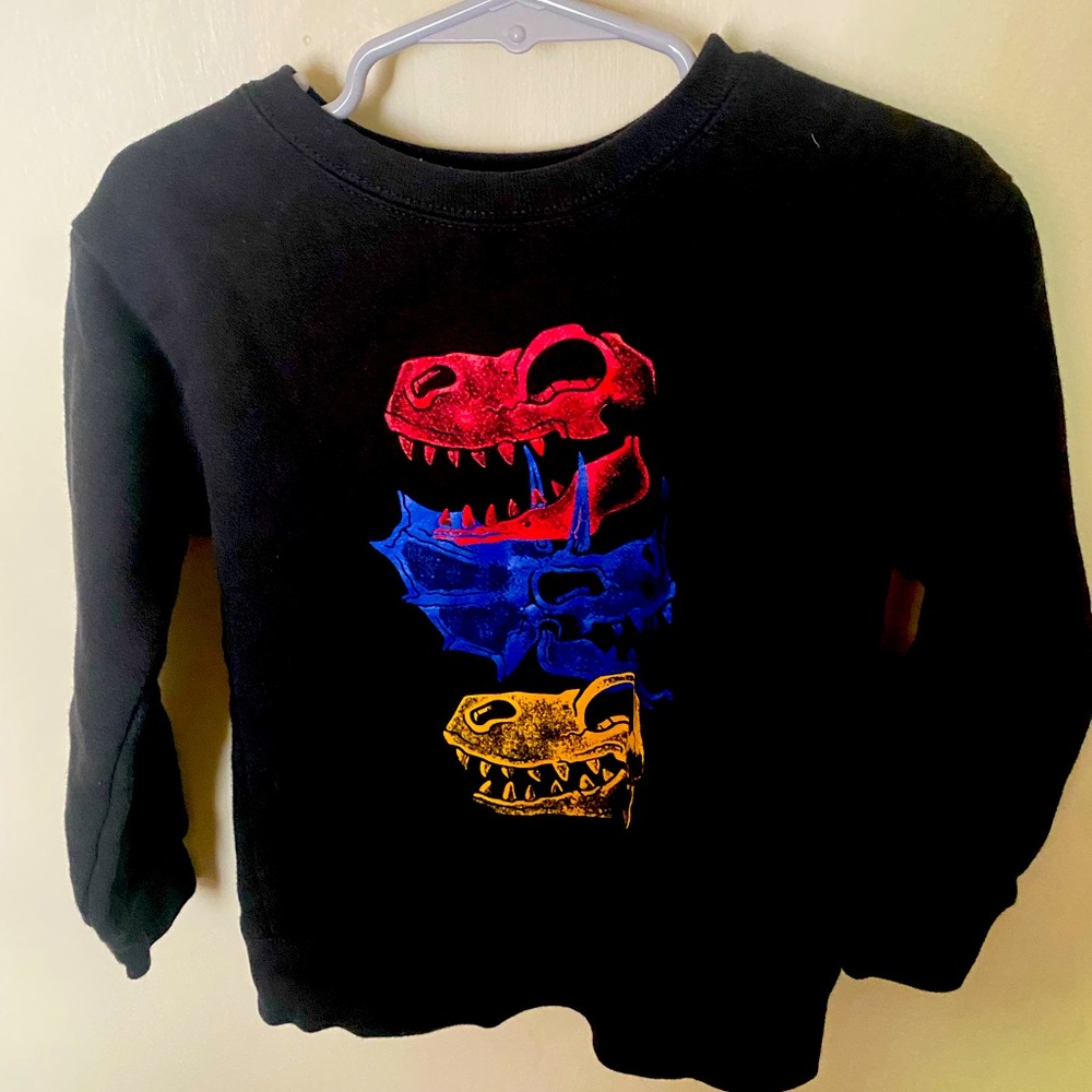 Toddlers dinosaur sweatshirt 3T